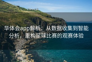 华体会app解析：从数据收集到智能分析，重构足球比赛的观赛体验