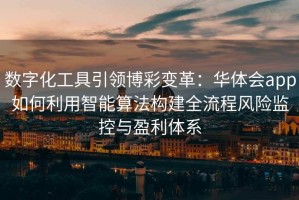 数字化工具引领博彩变革：华体会app如何利用智能算法构建全流程风险监控与盈利体系