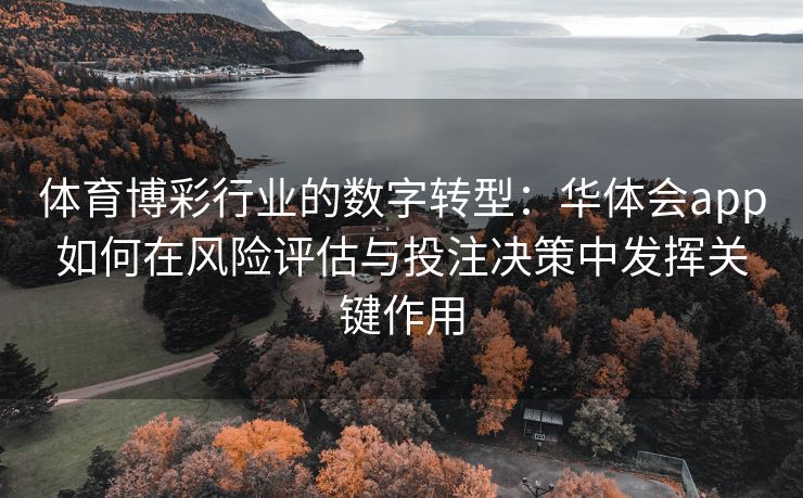 体育博彩行业的数字转型：华体会app如何在风险评估与投注决策中发挥关键作用