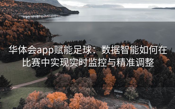 华体会app赋能足球：数据智能如何在比赛中实现实时监控与精准调整