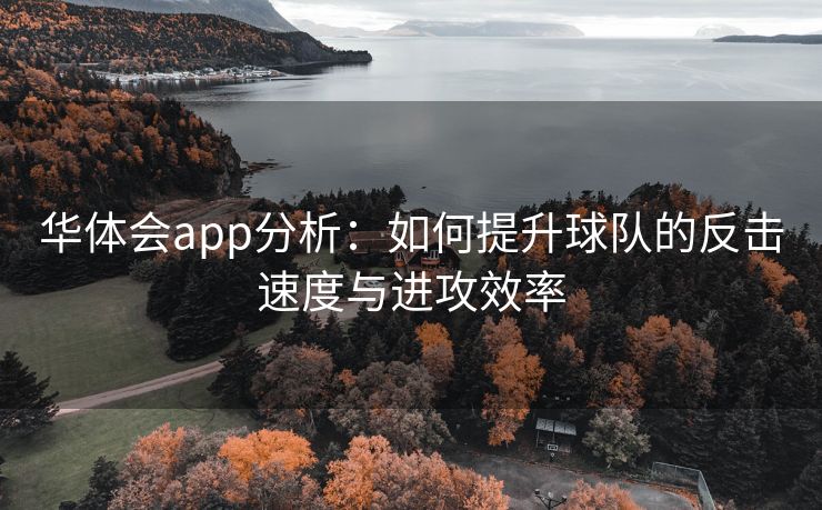 华体会app分析：如何提升球队的反击速度与进攻效率