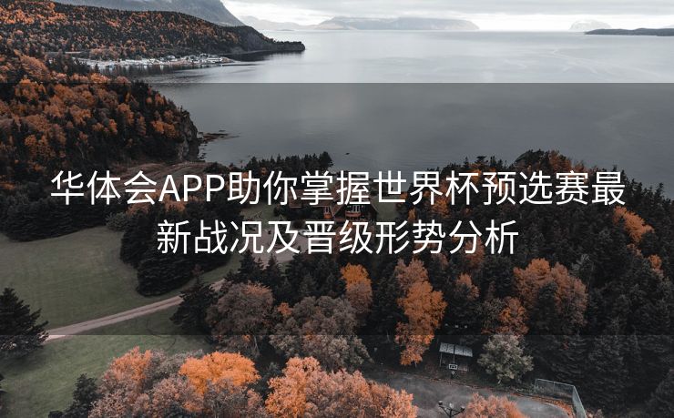 华体会APP助你掌握世界杯预选赛最新战况及晋级形势分析