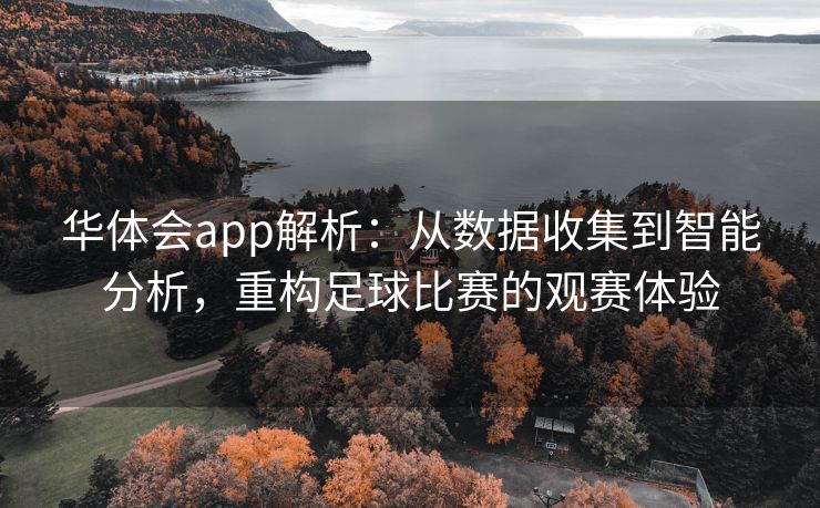 华体会app解析：从数据收集到智能分析，重构足球比赛的观赛体验