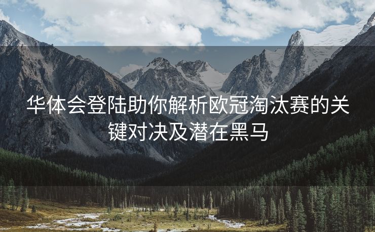 华体会登陆助你解析欧冠淘汰赛的关键对决及潜在黑马